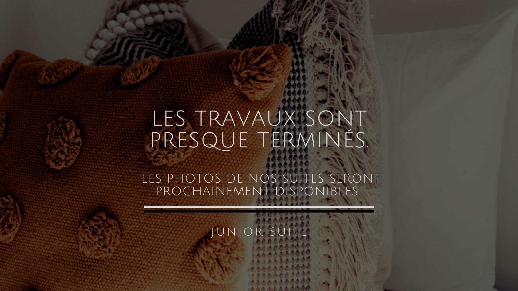 ホテル レジーナ オペラ グラン ブールヴァール 写真