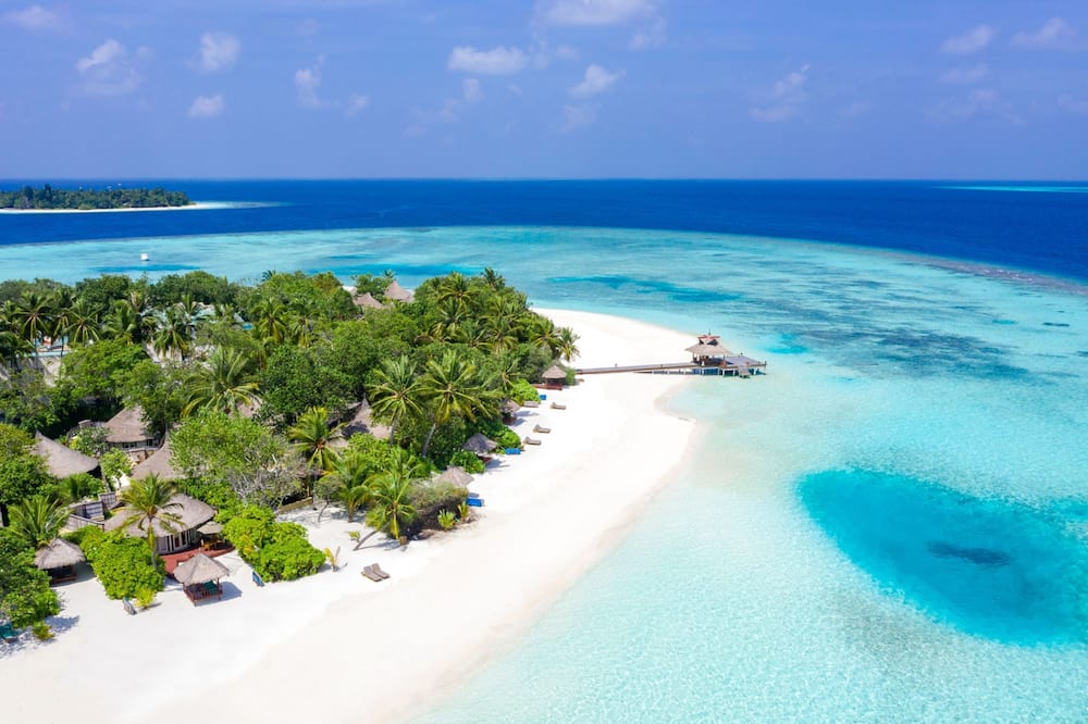 バンヤン ツリー バビンファル 写真