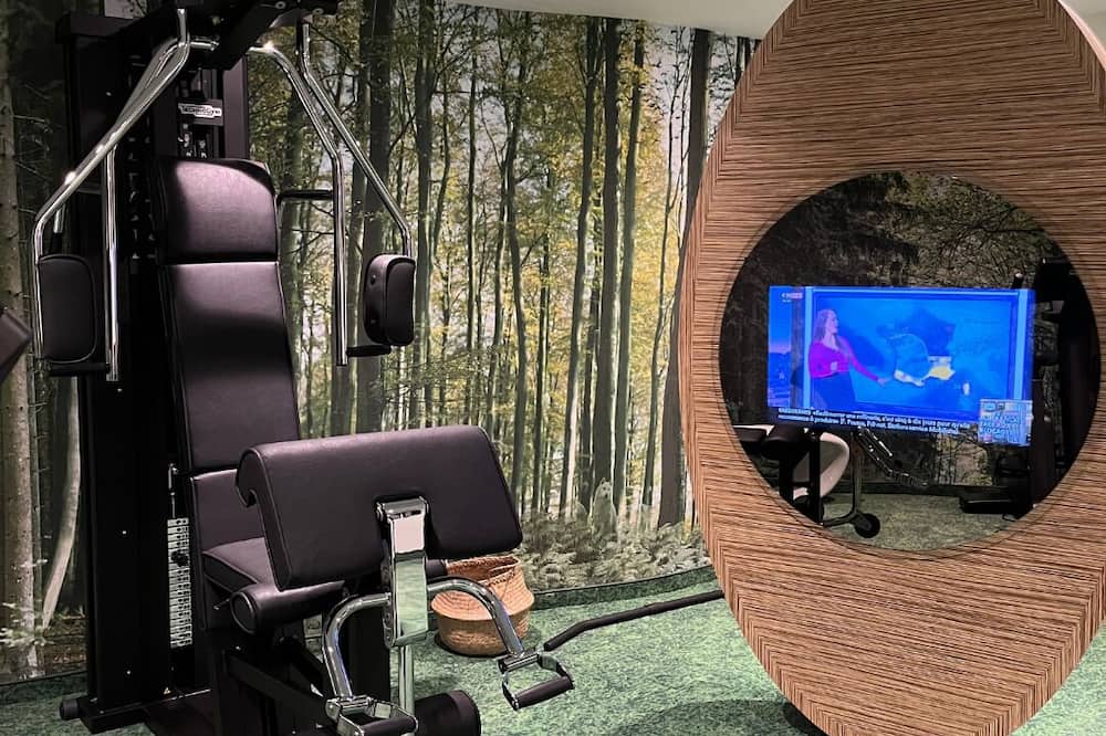 ホテル メルキュール ストラスブール センター プチ フランス 写真