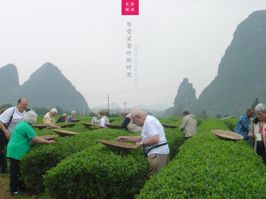 アロマ ティー ハウス 写真