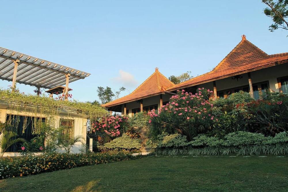 バニュワンギ ブリーズ 写真