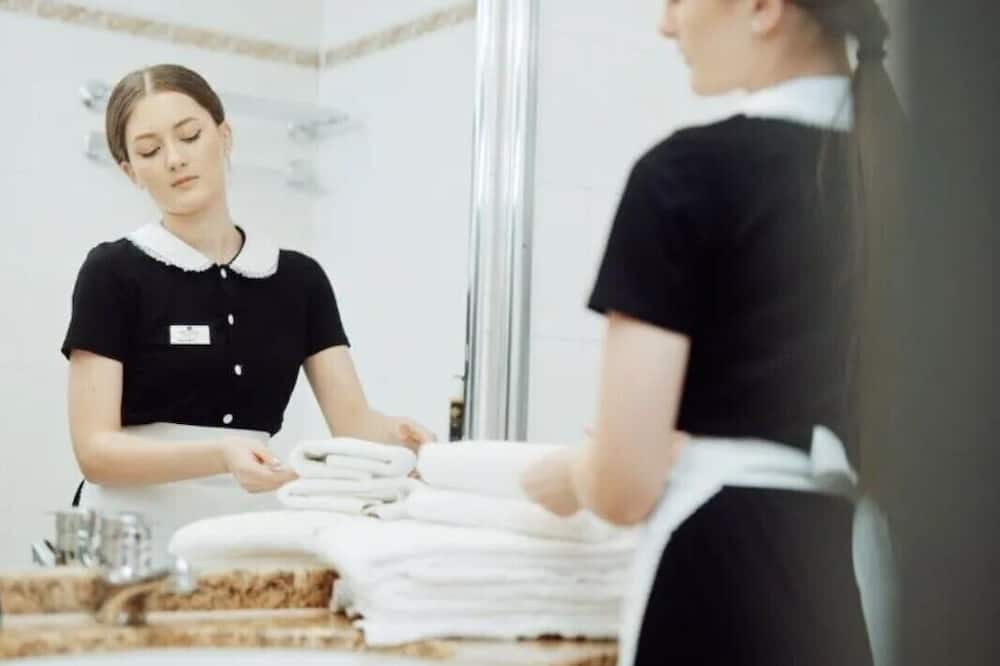 プラザ プラハ ホテル チェコ リーディング ホテルズ 写真