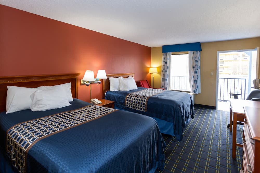 シェルビー イン 写真