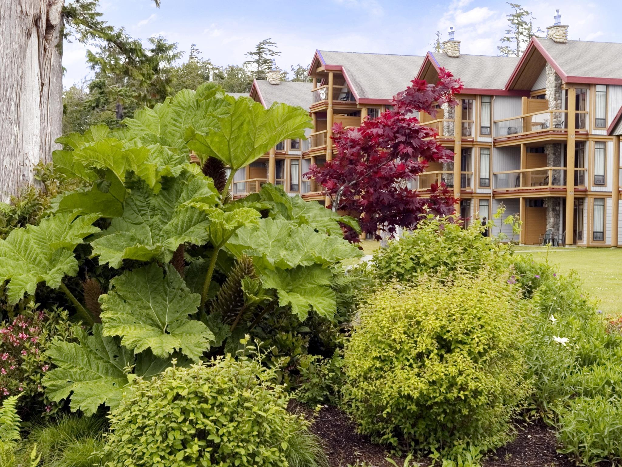 ベスト ウェスタン プラス ティン ウィズ リゾート 写真