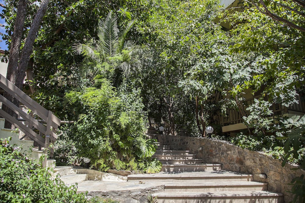 エルピダ ヴィレッジ 写真