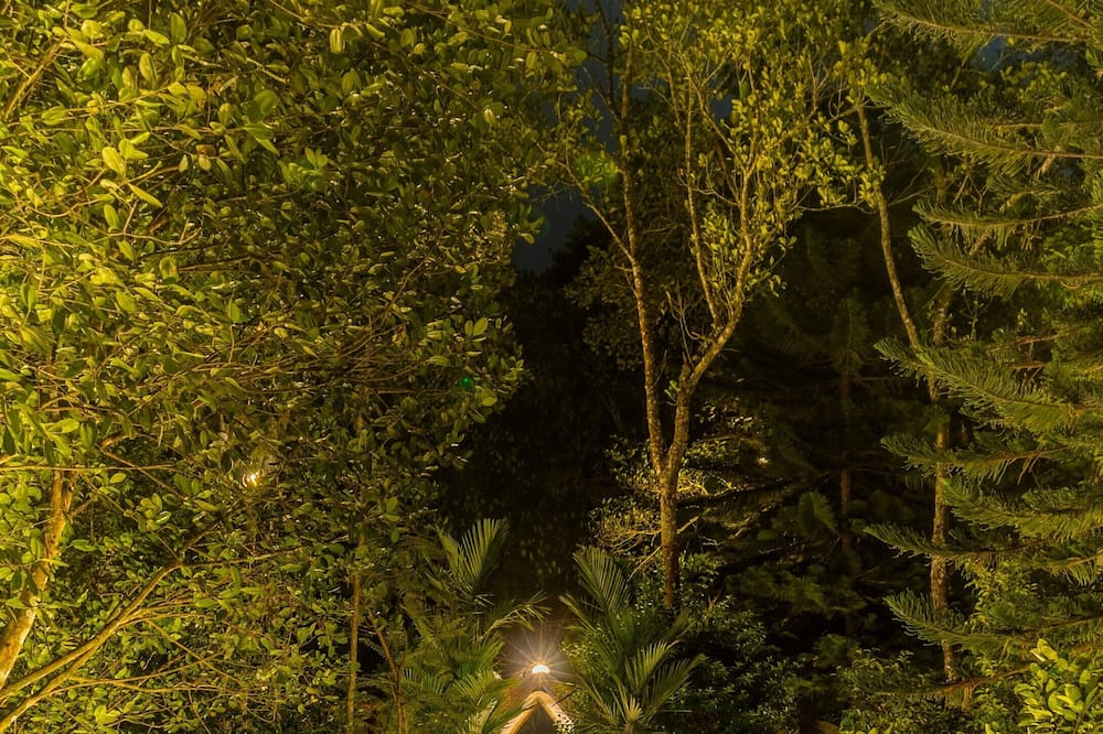 Amritara Shalimar Spice Garden Resort & Spa 写真