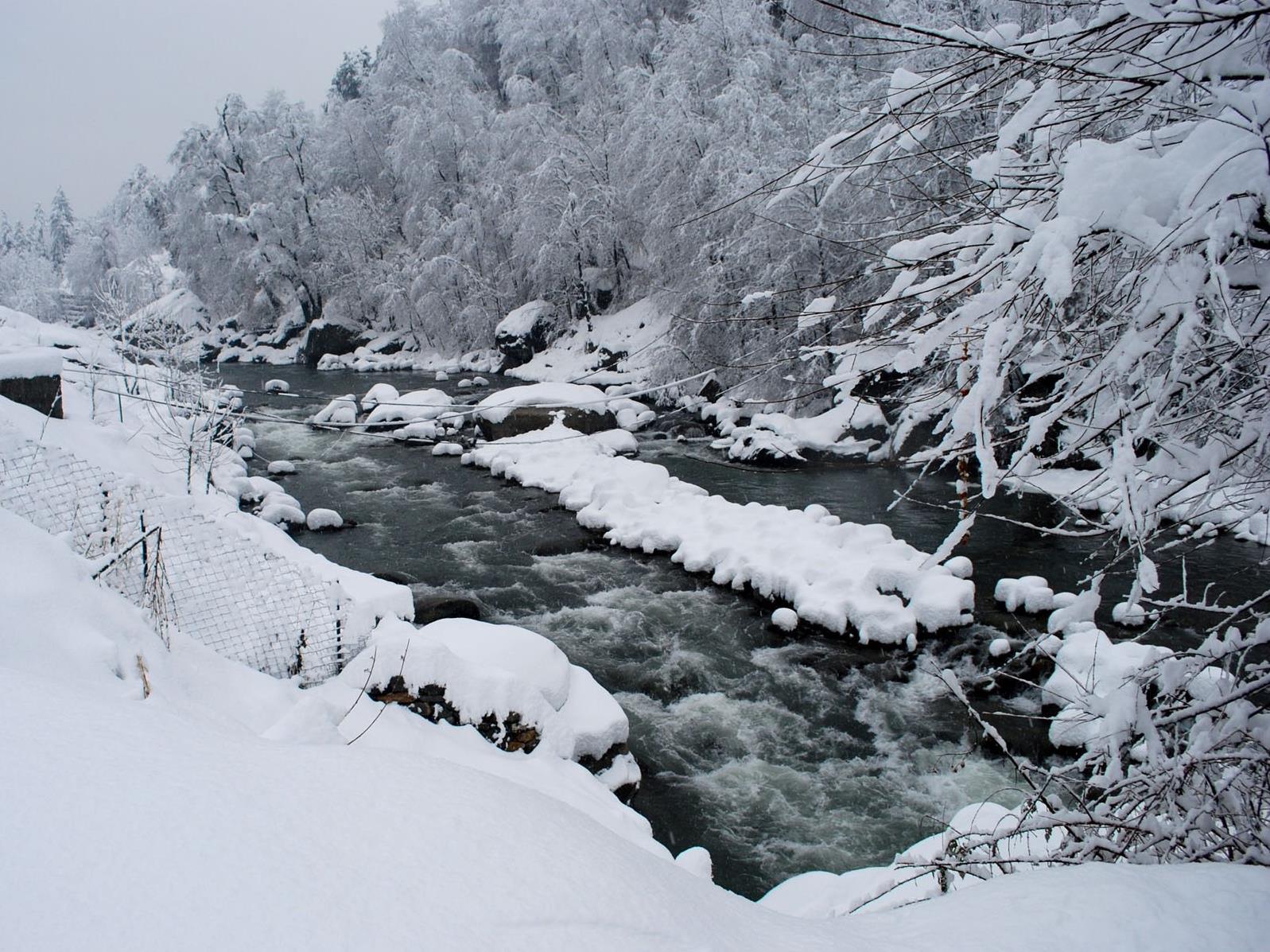 Bravia Hotel Manali Inn 写真