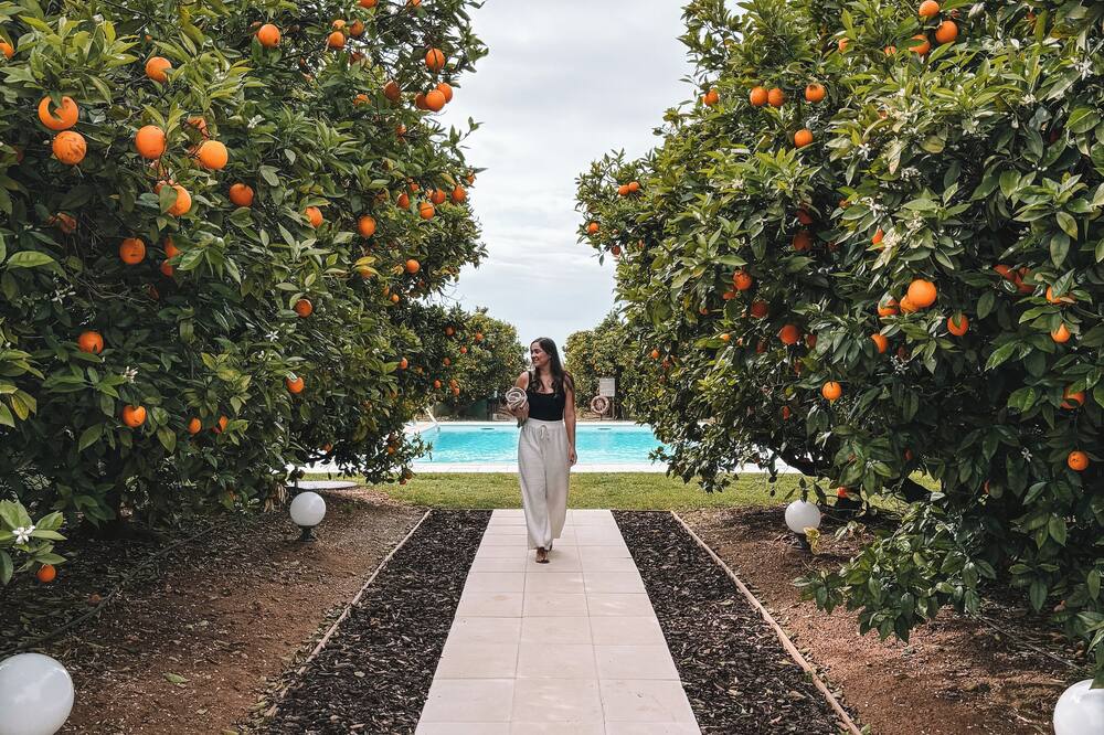 Quinta Dos Perfumes 写真