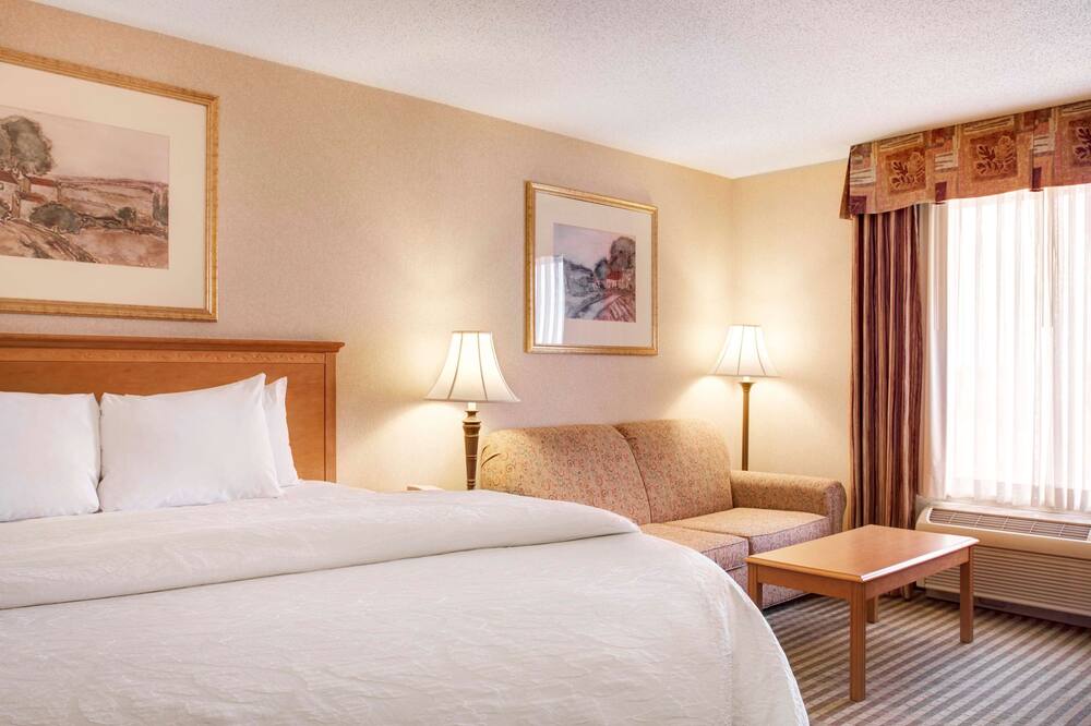 ハンプトン イン & スイーツ アディソン 写真