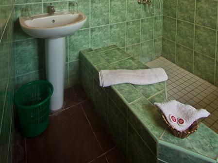 アスミニ パレス ホテル 写真