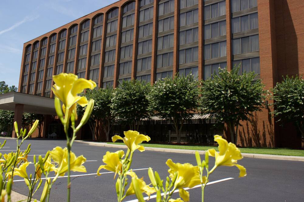 Wyndham Garden Williamsburg Busch Gardens Area 写真