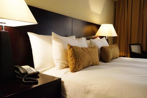 Hotel Royal Kinshasa 3 写真