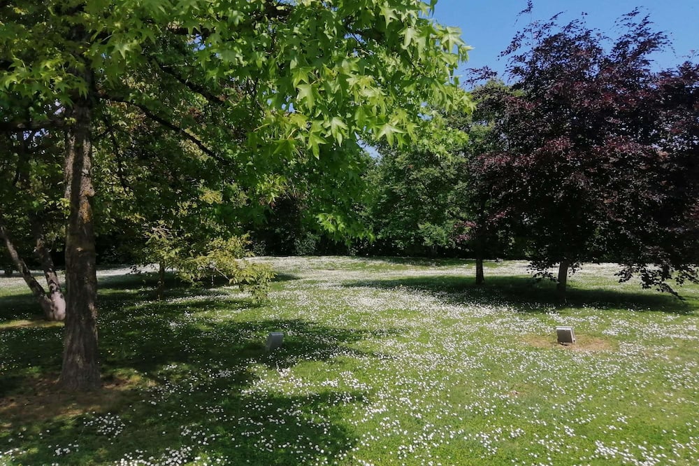 イビス スタイルズ トゥール シュッド 写真