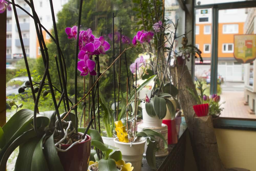 ホテル ホヘンスタッフェン 写真