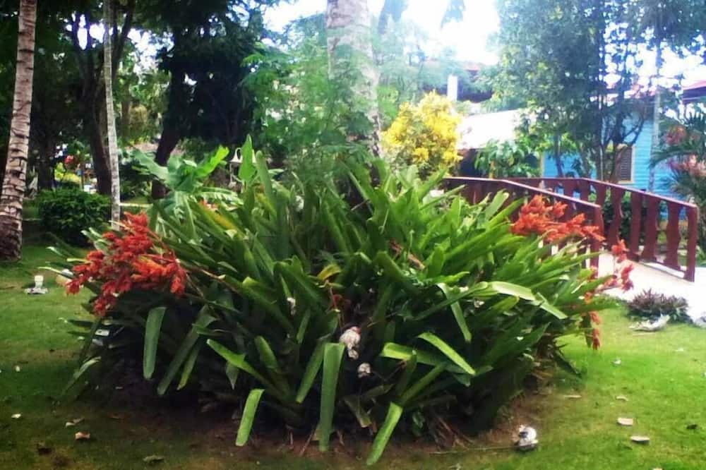 プラザ リアル リゾート 写真