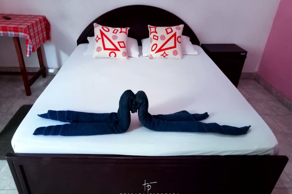 タケシ イン 写真