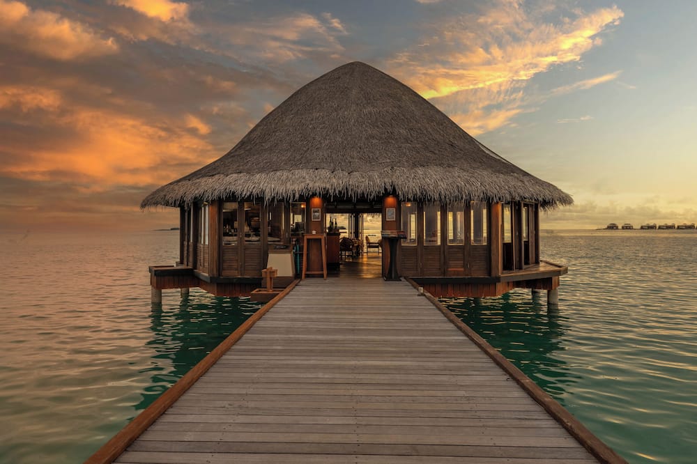 アンサナ ヴェラヴァル 写真