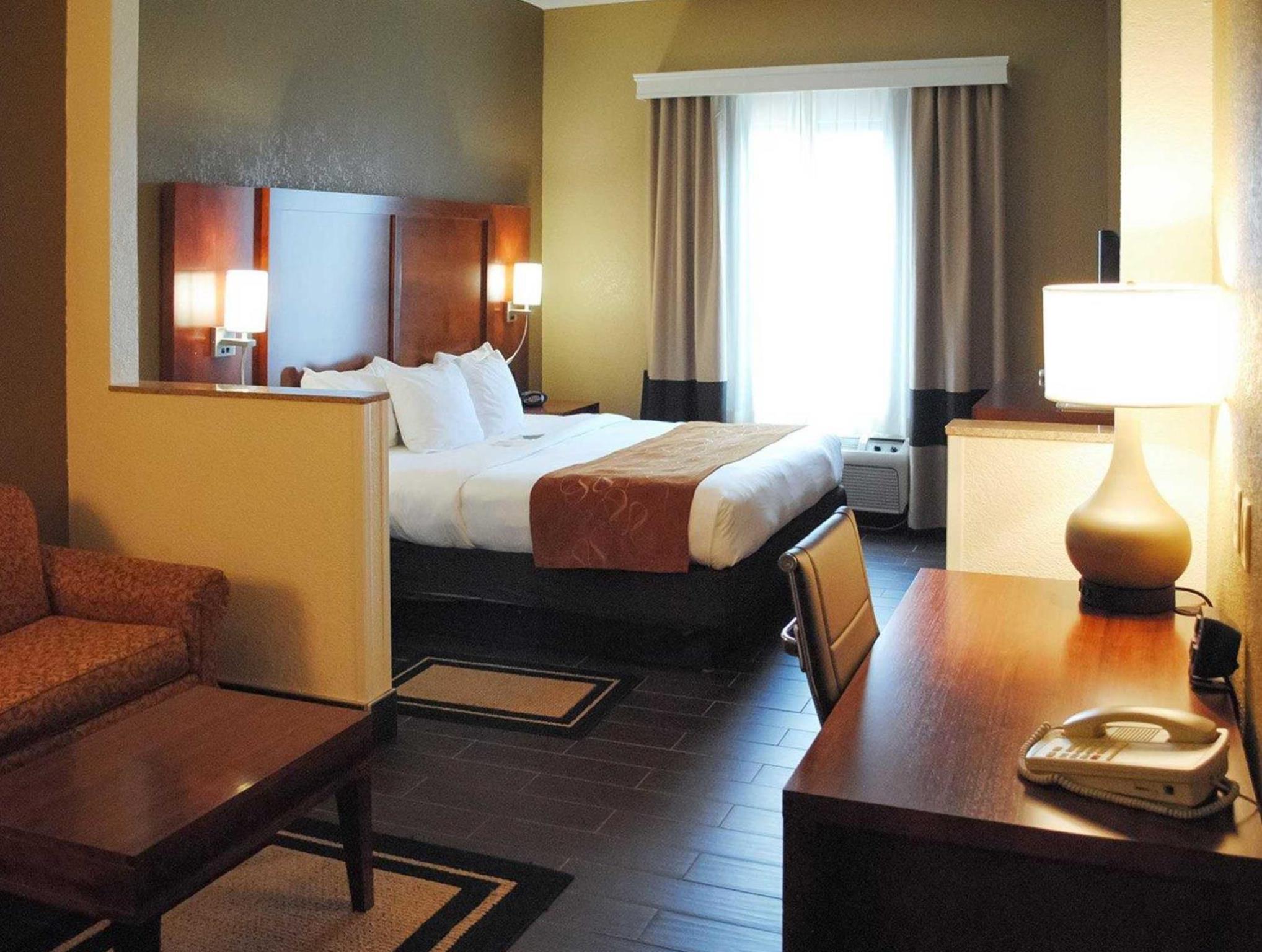 コンフォート スイーツ グランド ラピッズ サウス 写真