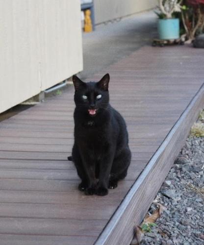 マハナ ハウス カントリー イン 写真