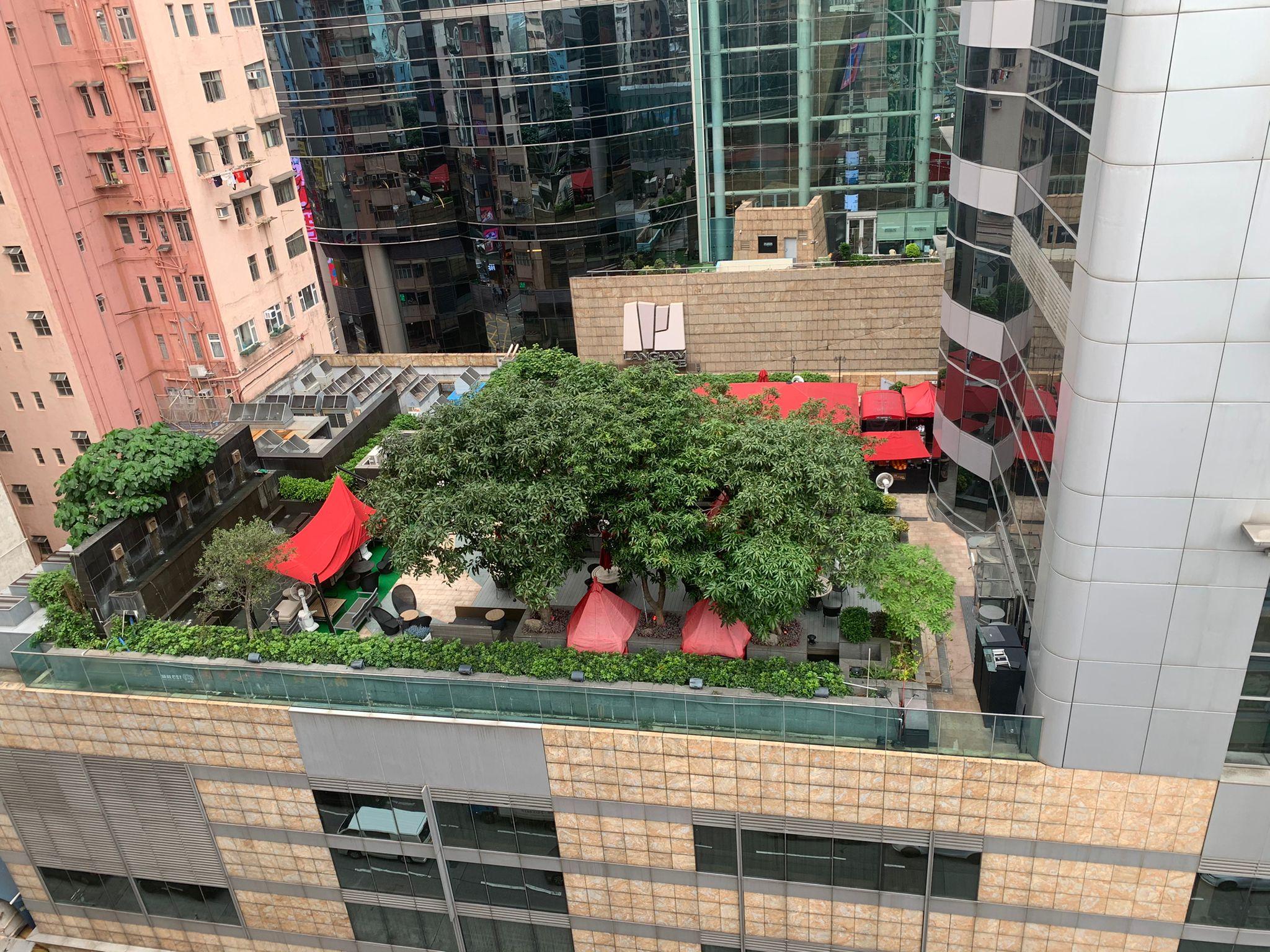 サニー デイ ホテル 写真