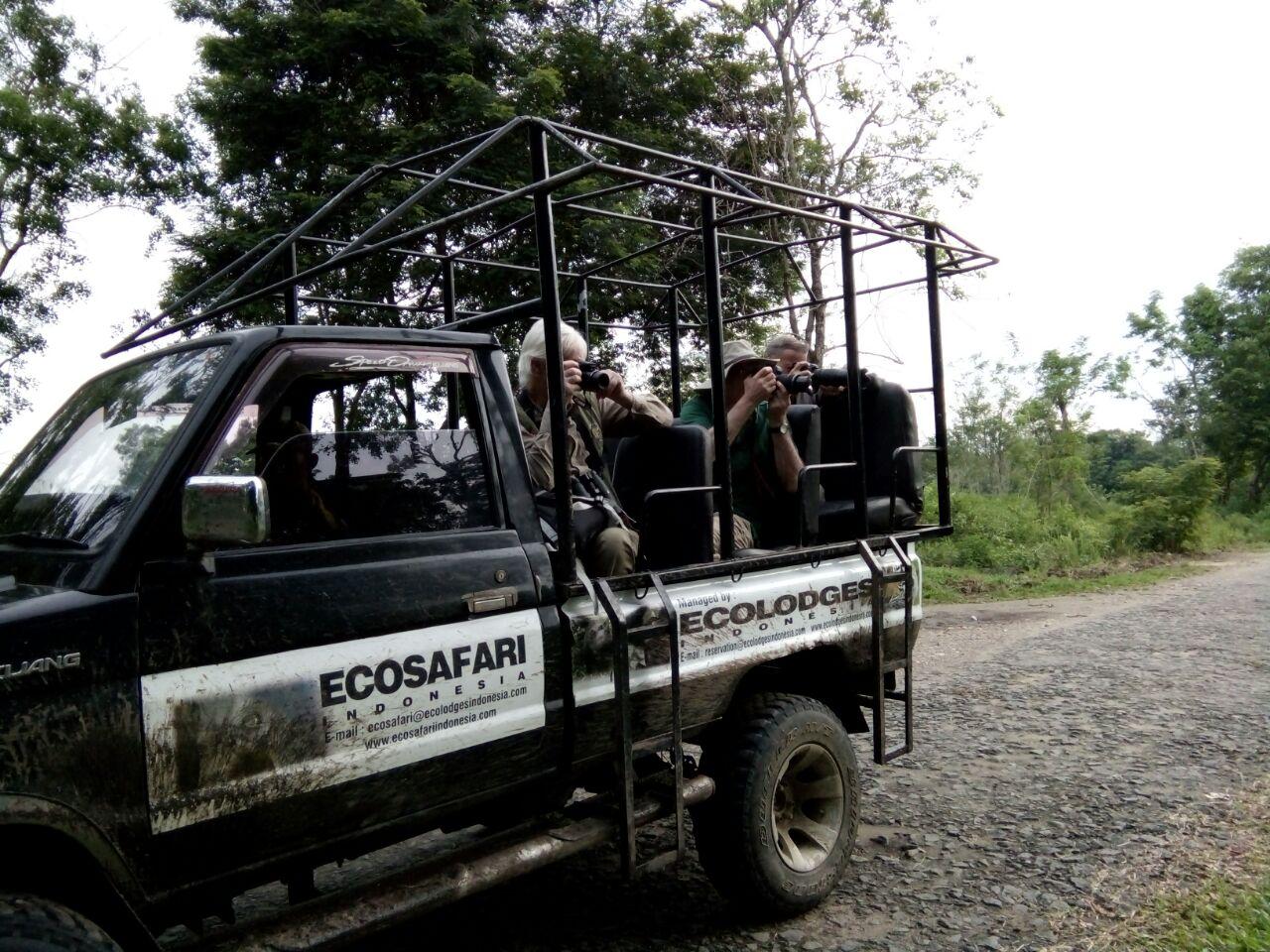 サトワ エレファント エコ ロッジ 写真