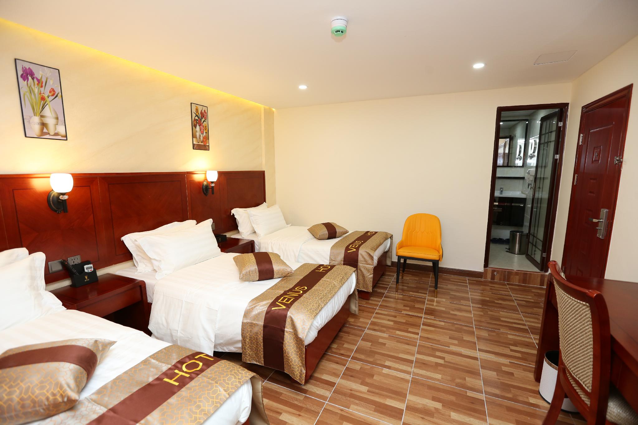 ペトラ ビーナス ホテル 写真