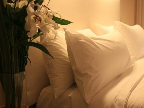 AWA Boutique + Design Hotel 写真