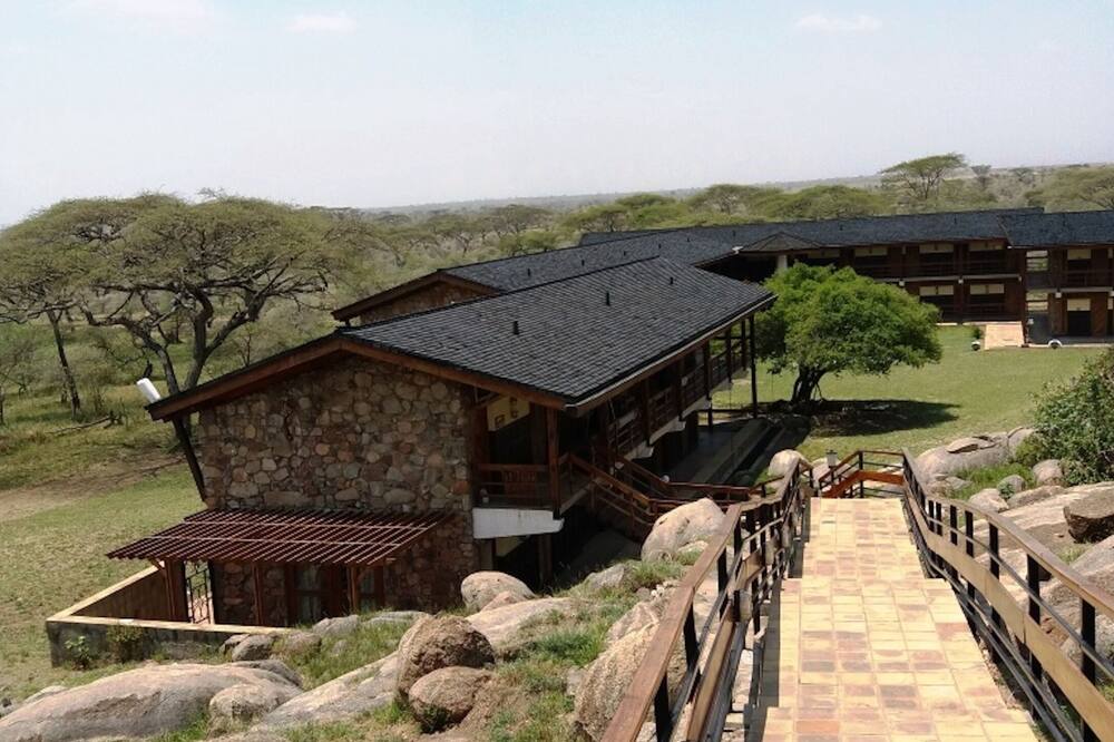 セロネラ ワイルドライフ ロッジ 写真