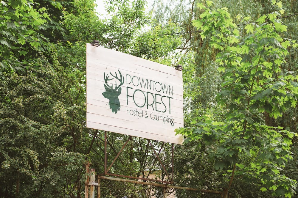 ダウンタウン フォレスト ホステル & キャンピング 写真