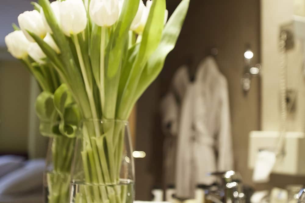 スキー プラザ  ホテル & ウェルネス 写真