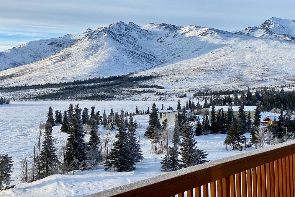 デナリ レイクビュー イン 写真