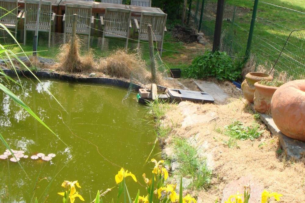 エレッカーリックイン イン ホテル 写真