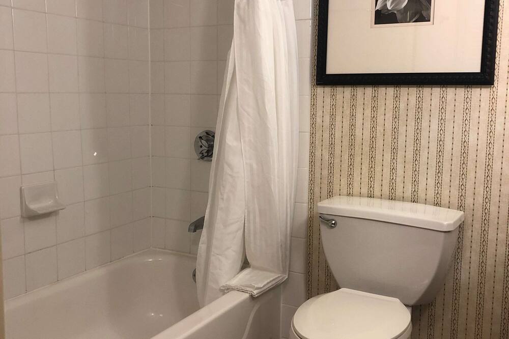 Hilton Garden Inn Addison 写真