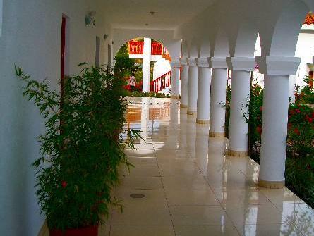 アウグストス ウルバンバ 写真