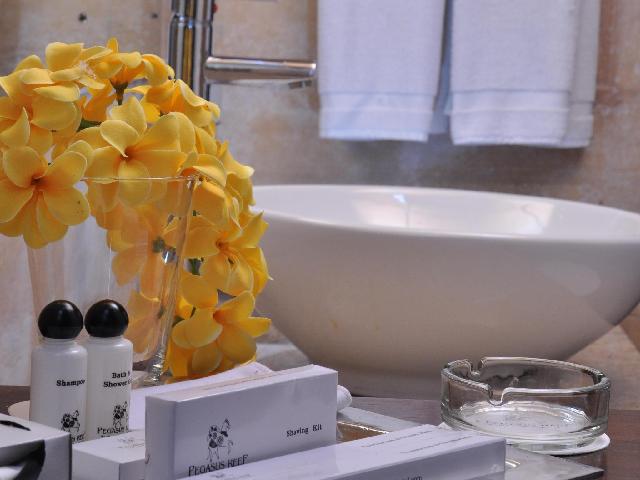 ペガサス リーフ - ア ビーチ リゾート イン コロンボ 写真