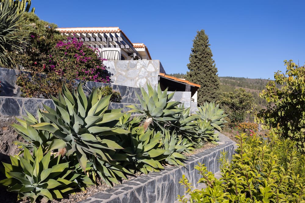 Hotel Alta Montana 写真