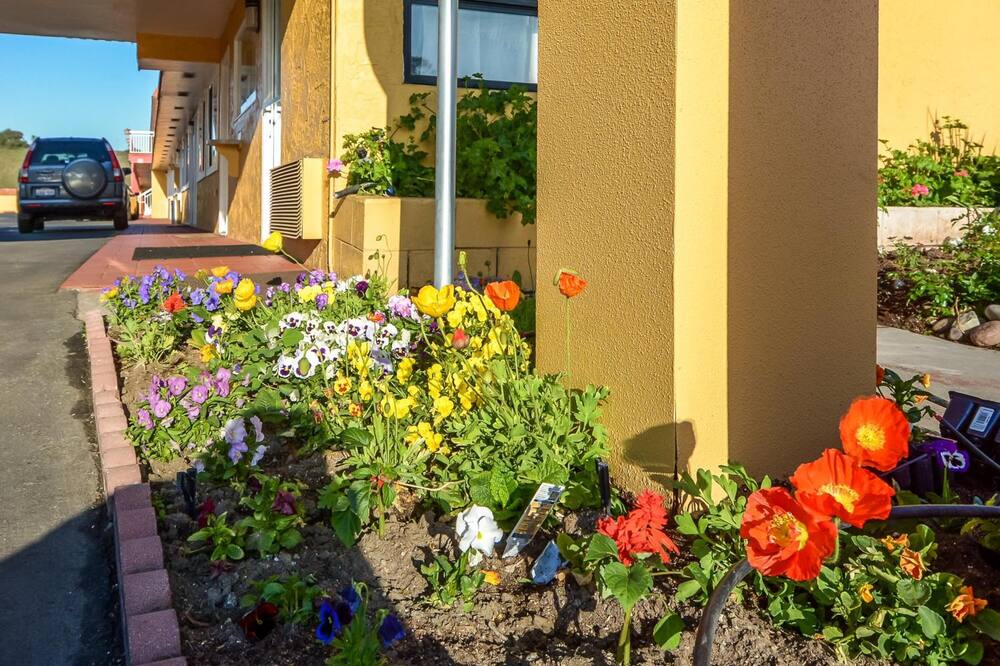 ホリスター イン 写真