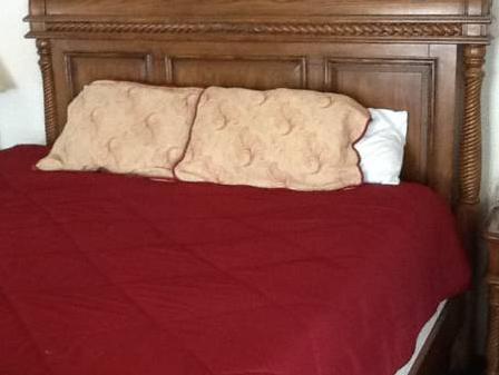 サファリ モーテル 写真