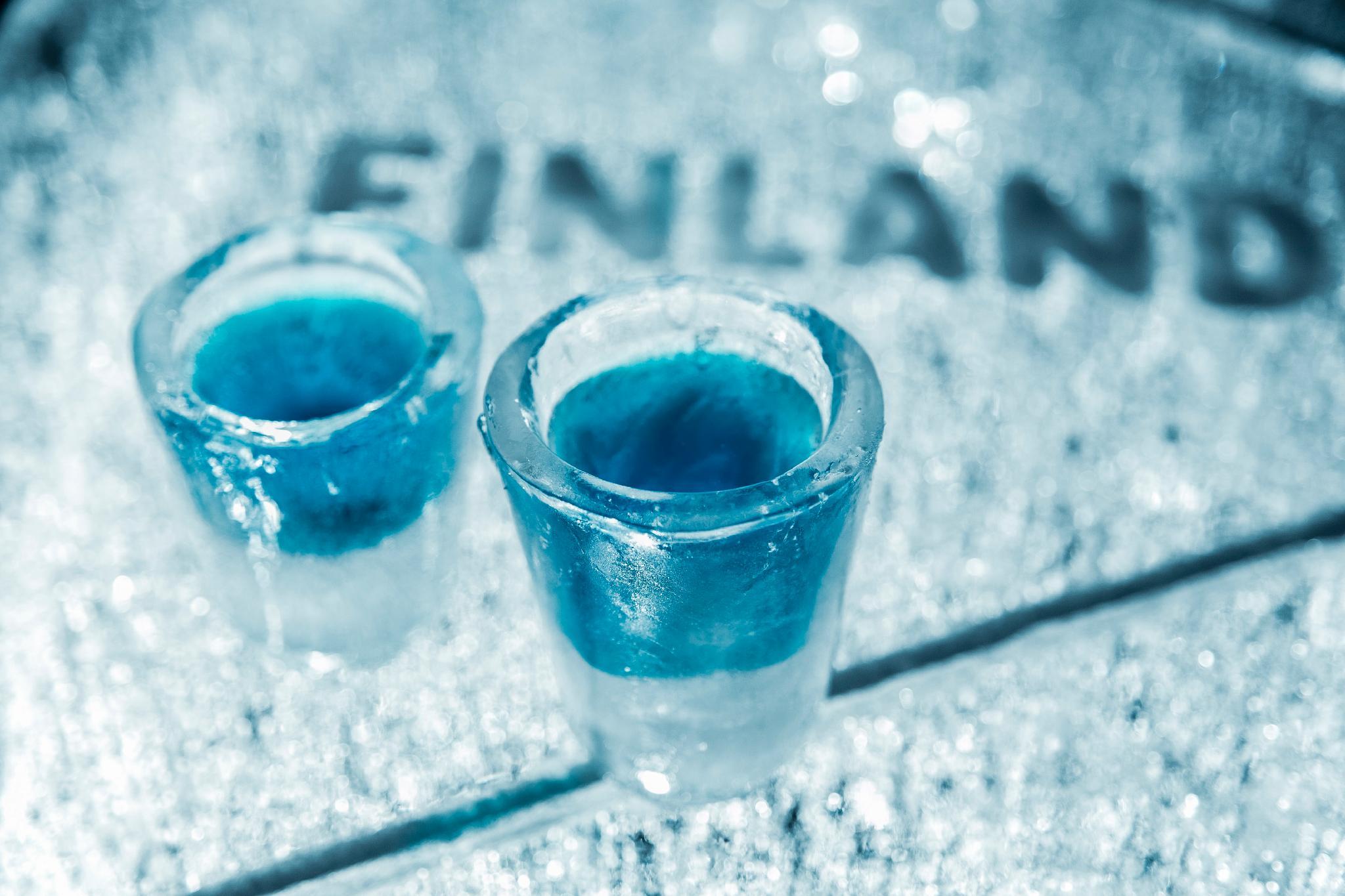 アークティック スノーホテル&グラス イグルーズ 写真