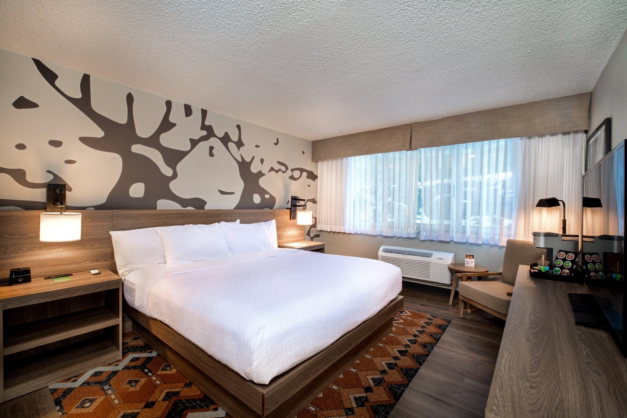 ホリデイ イン エステス パーク バイ IHG 写真