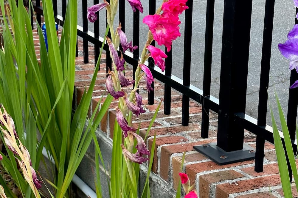 ネイションズイン オブ ウェイクカウンティ - ラリー クラブツリー 写真