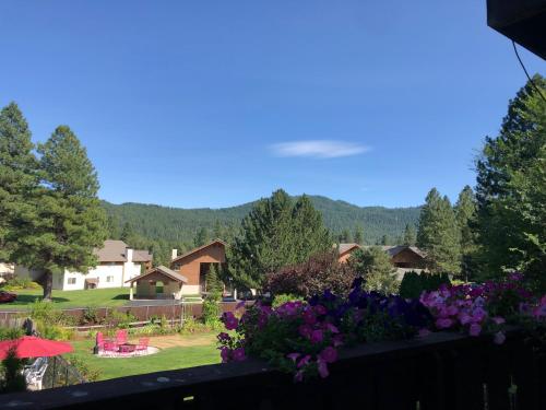 ブルー エルク イン 写真