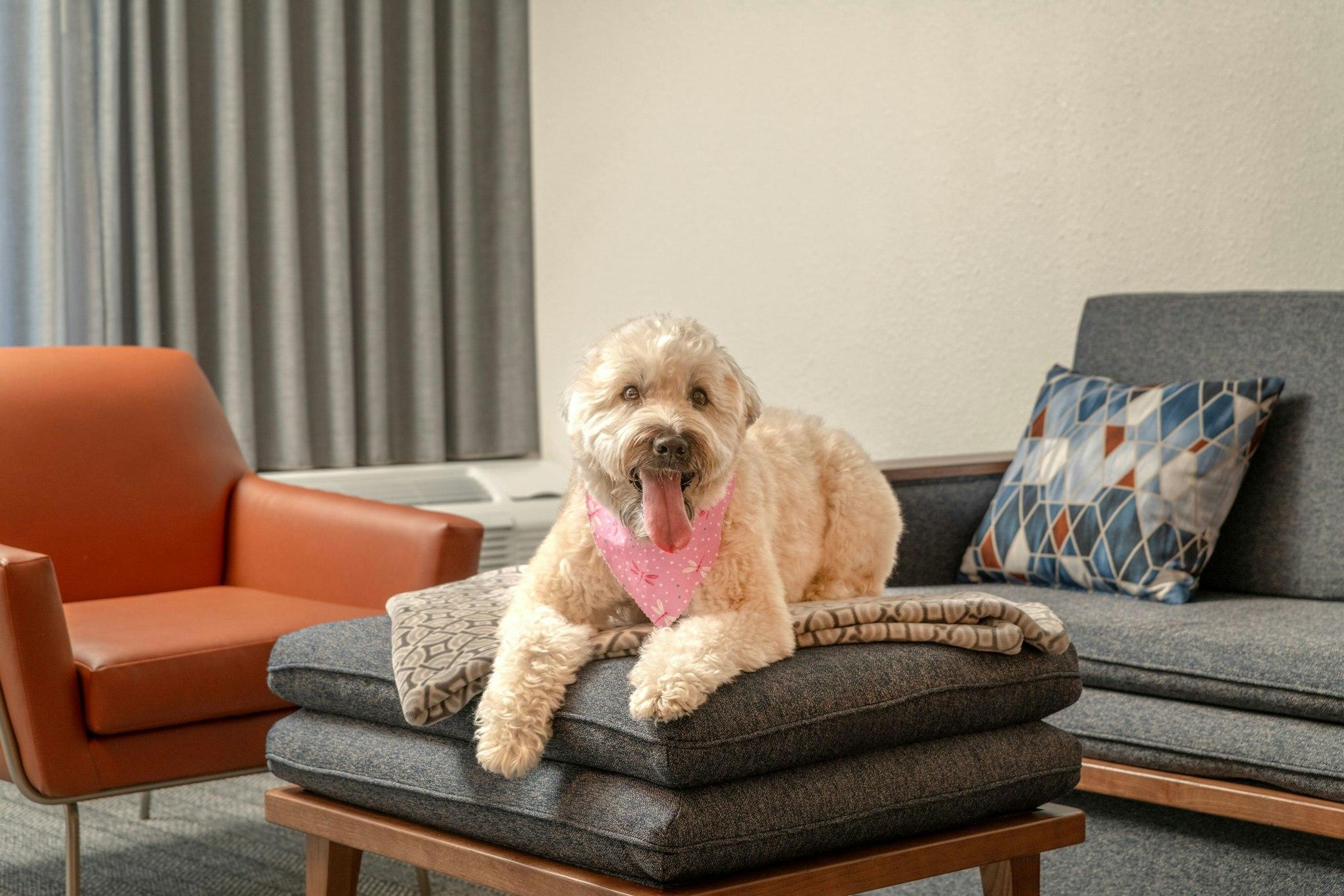 Courtyard by Marriott Providence Lincoln 写真