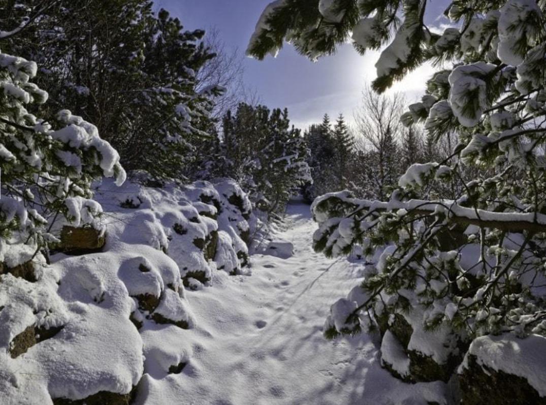 レイキャヴィク ナチュラ ベルジャヤ アイスランド ホテルズ 写真