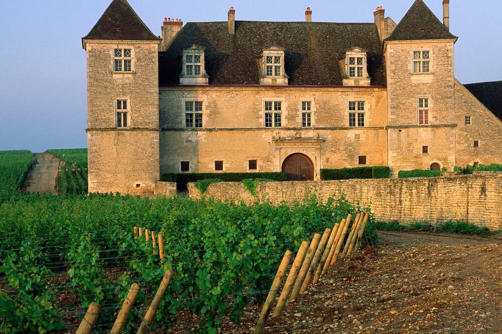 Novotel Dijon Route des Grands Crus 写真