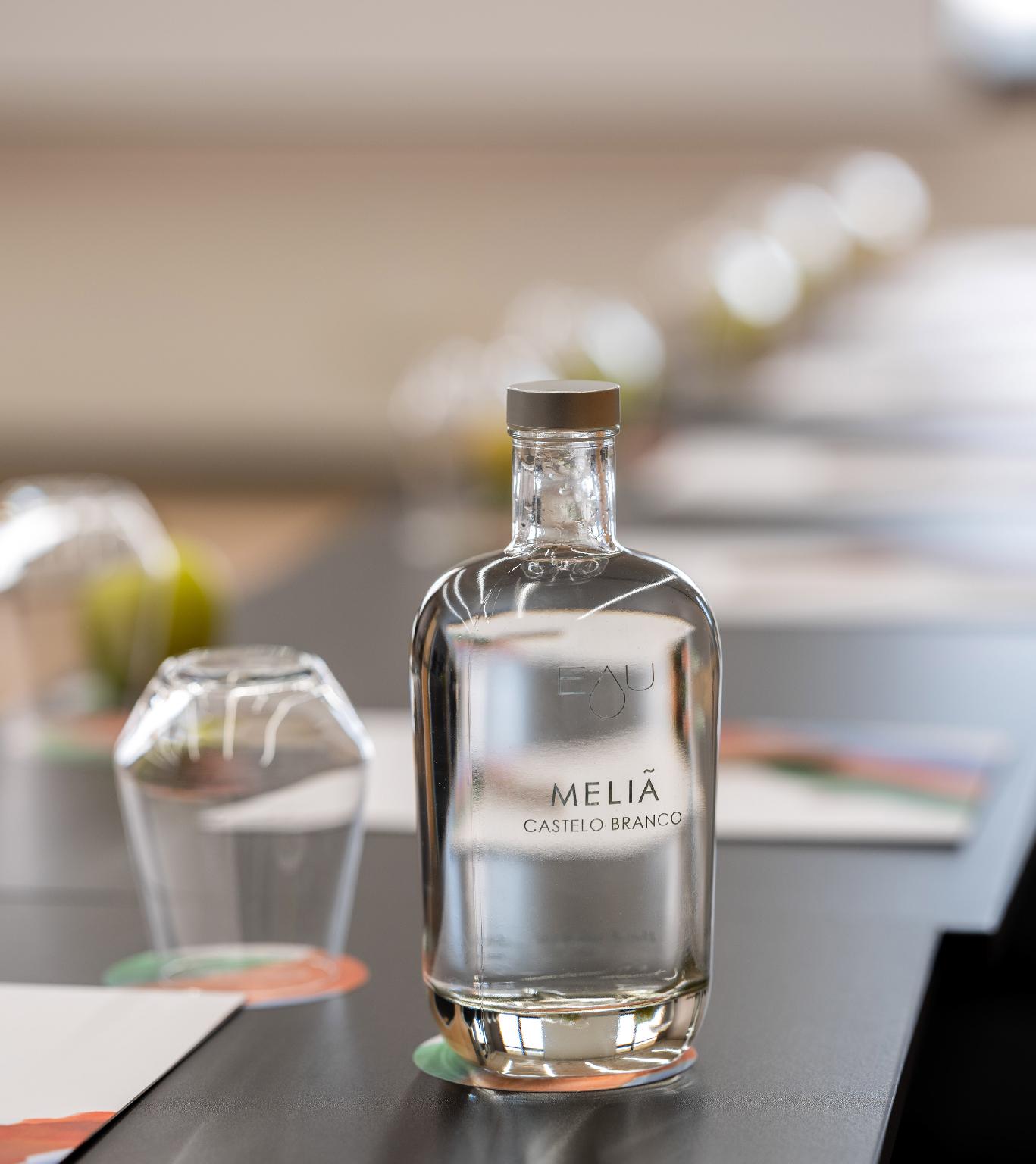 メリア カステロ ブランコ 写真