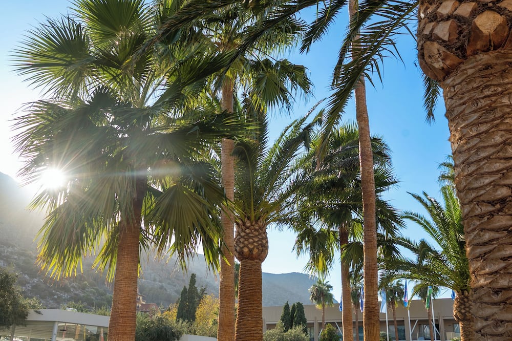 Imperial Belvedere Hotel 写真