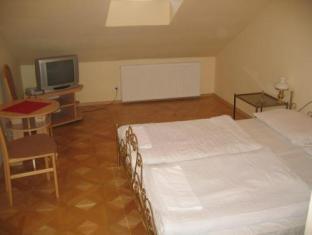 Hotel v Centru 写真