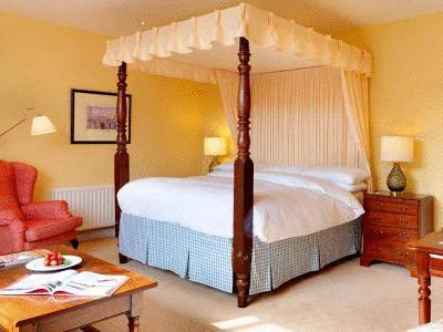 The Dunraven, Adare 写真