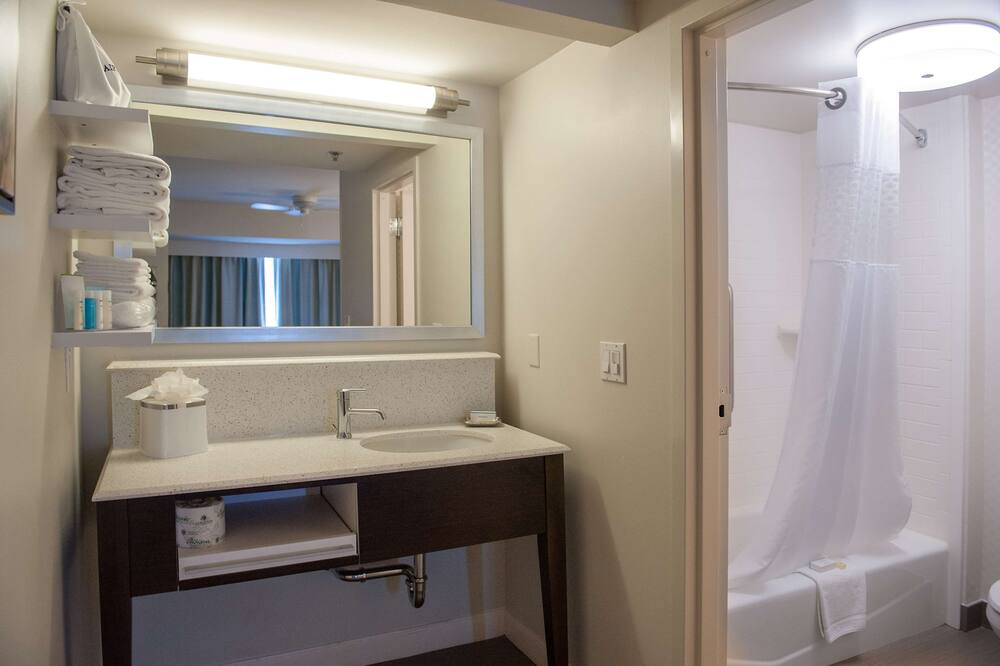 Hampton Inn & Suites New Orleans-Elmwood/Clearview Parkway Area 写真